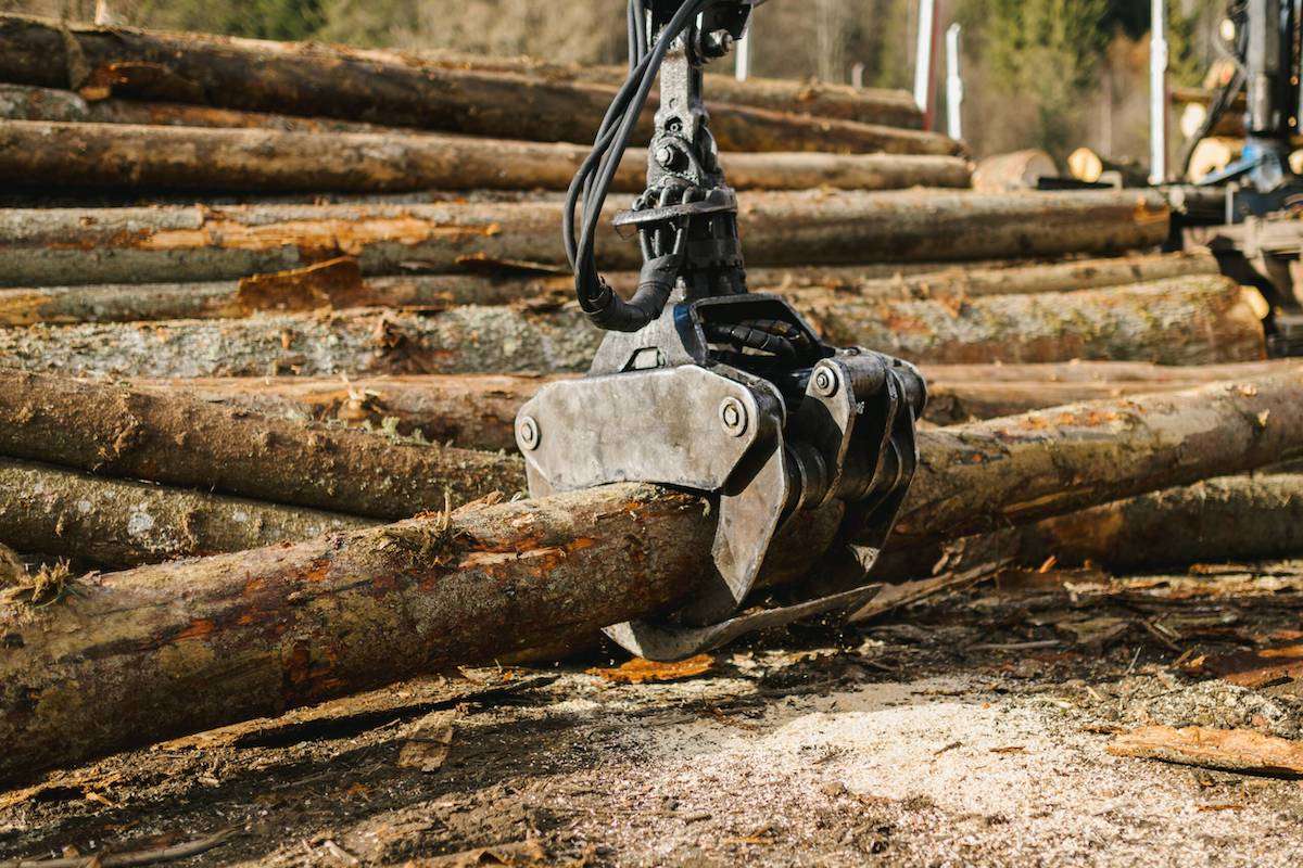 licitație pentru a cumpăra utilaje forestiere - agroexpert.md