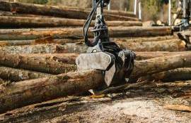 licitație pentru a cumpăra utilaje forestiere - agroexpert.md