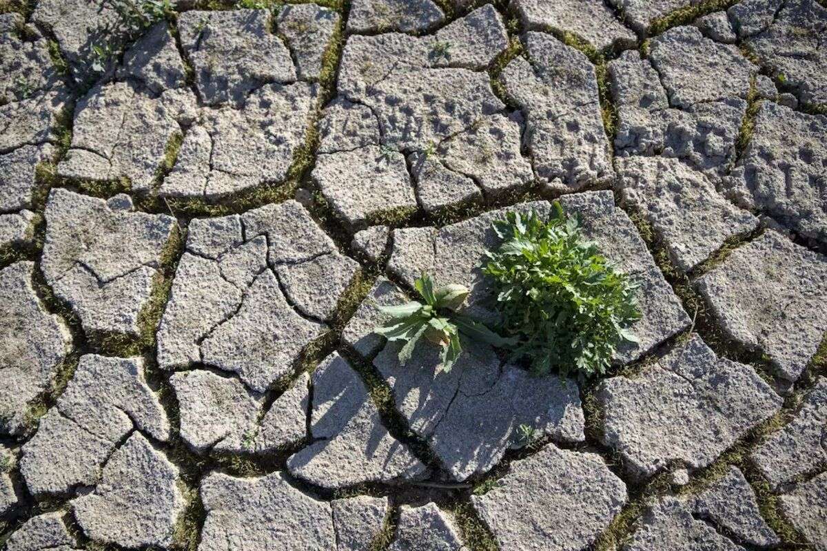 Solul degradat amplifică valurile de căldură - agroexpert.md