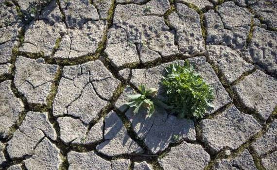 Solul degradat amplifică valurile de căldură - agroexpert.md
