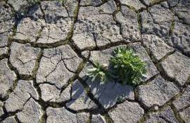 Solul degradat amplifică valurile de căldură - agroexpert.md