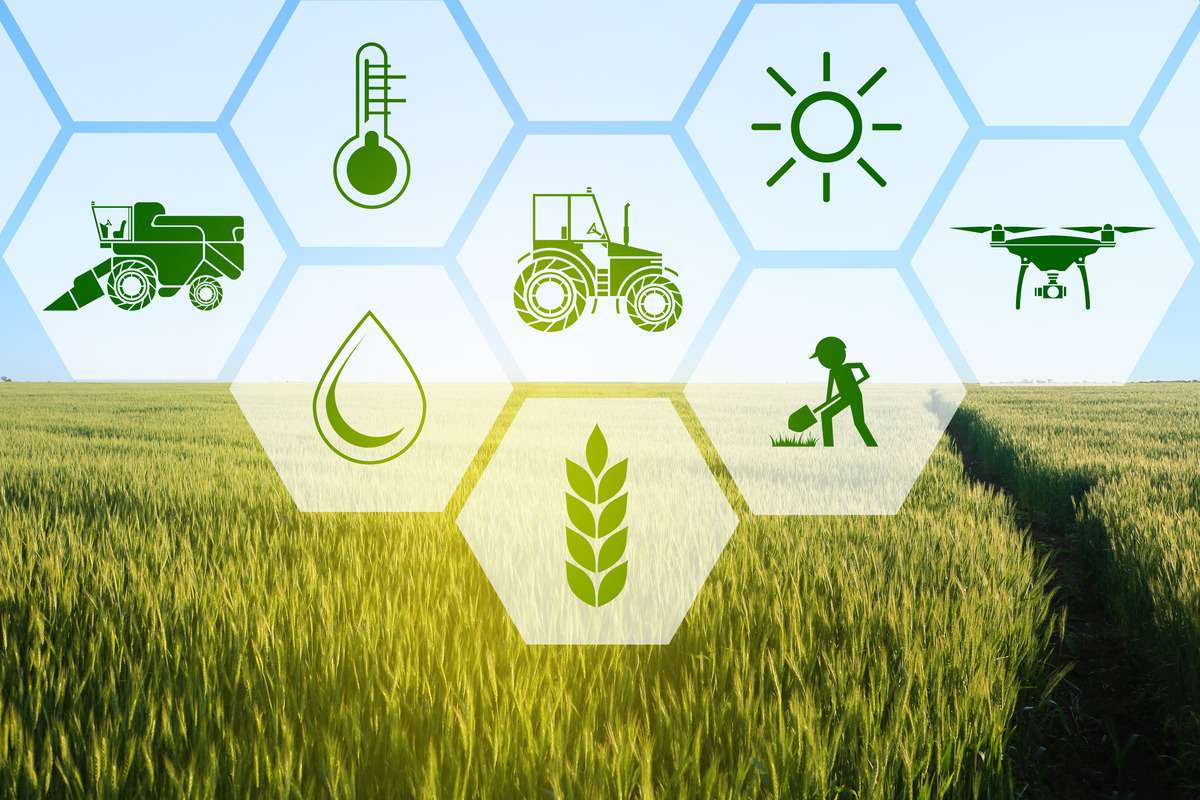 UTM lansează agricultura inteligentă: unde poți lucra după absolvire - agroexpert.md
