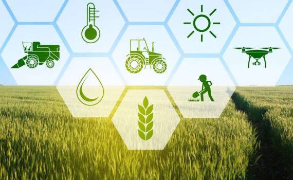 UTM lansează agricultura inteligentă: unde poți lucra după absolvire - agroexpert.md