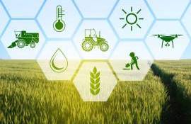 UTM lansează agricultura inteligentă: unde poți lucra după absolvire - agroexpert.md
