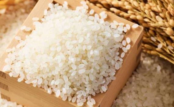 25 de tone de orez neconform, distruse de ANSA - agroexpert.md