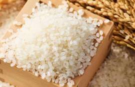 25 de tone de orez neconform, distruse de ANSA - agroexpert.md