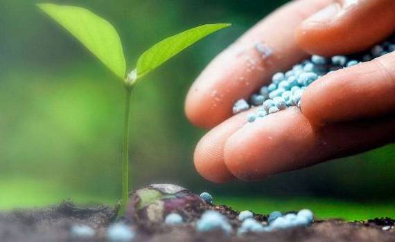 mecanism de sprijin pentru fertilizanți - agroexpert.md