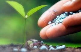 mecanism de sprijin pentru fertilizanți - agroexpert.md