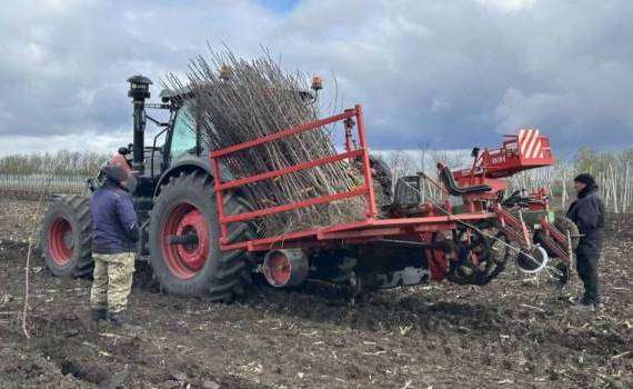 Plantație pomicolă de 10 hectare la Criuleni - agroexpert.md