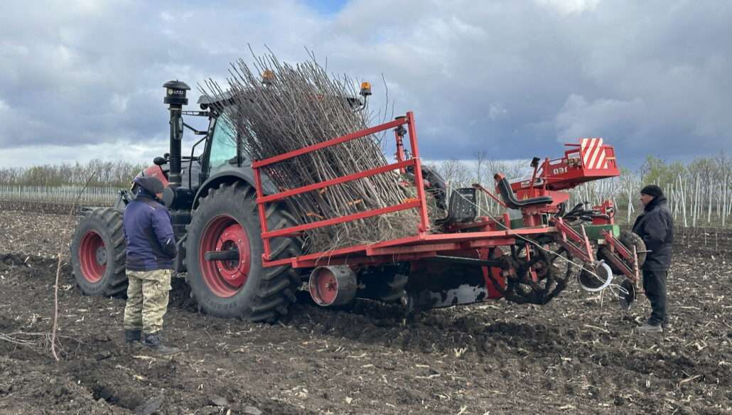 Plantație pomicolă de 10 hectare la Criuleni - agroexpert.md