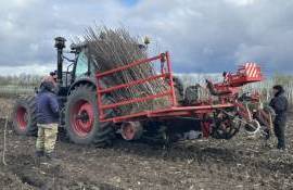 Plantație pomicolă de 10 hectare la Criuleni - agroexpert.md