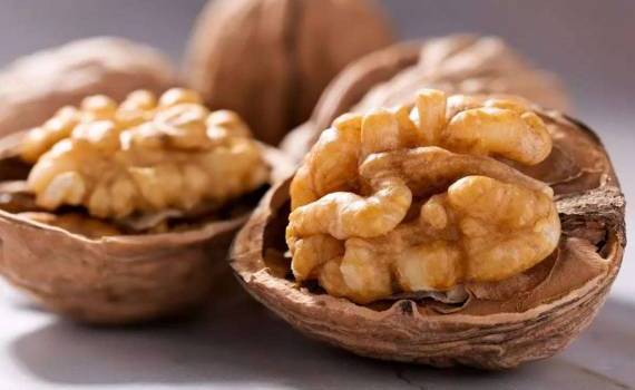 Кооперация как драйвер роста: пример ореховодов из района Теленешть - agroexpert.md