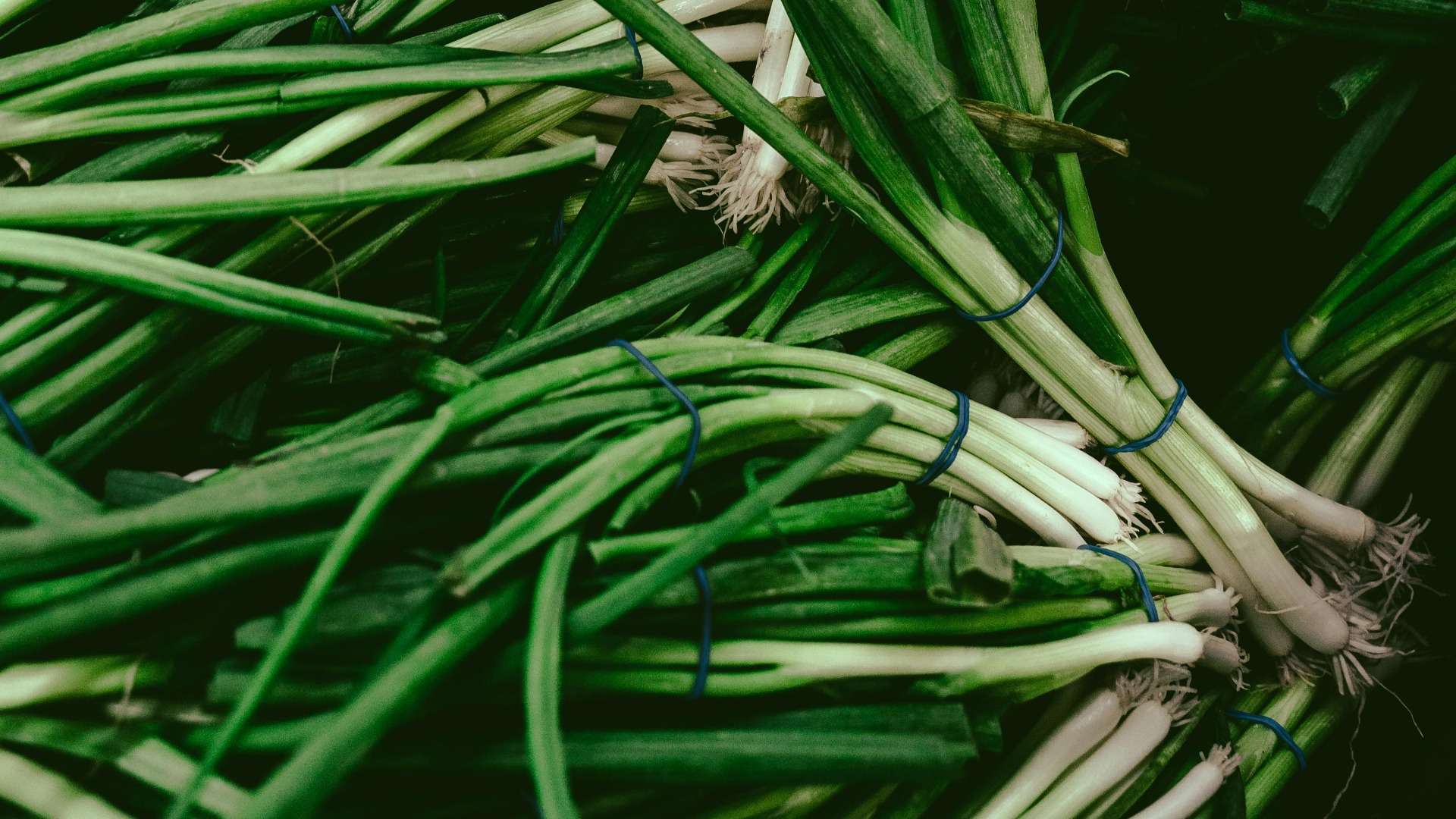 Peste 10 tone de verdeață de import nimicite de ANSA - agroexpert.md