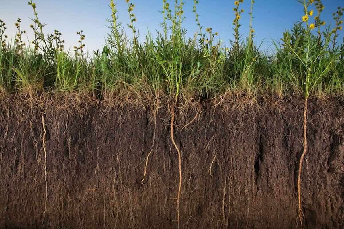 Sistem modernizat pentru arhiva de informații despre subsol - agroexpert.md
