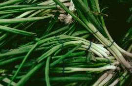 Peste 10 tone de verdeață de import nimicite de ANSA - agroexpert.md