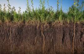 Sistem modernizat pentru arhiva de informații despre subsol - agroexpert.md