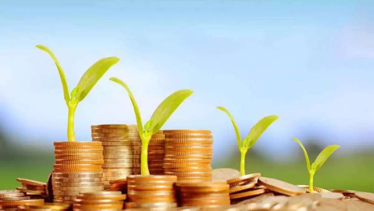 Credite pentru capital circulant agricol - agroexpert.md