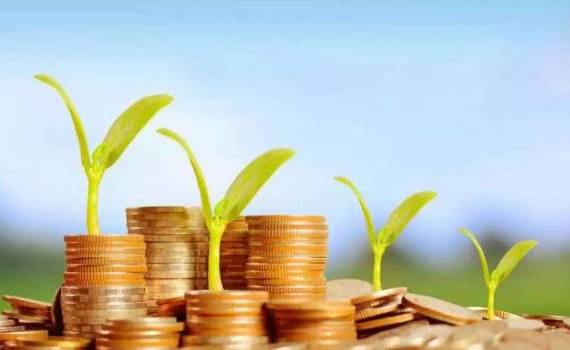 Credite pentru capital circulant agricol - agroexpert.md