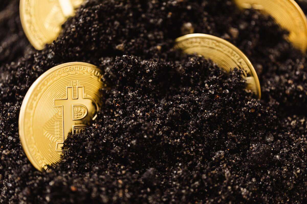În ce sectoare ajung subvențiile în luna iunie? - agroexpert.md