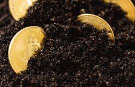 În ce sectoare ajung subvențiile în luna iunie? - agroexpert.md