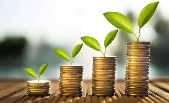 649 de afaceri agricole micro și mici au fost finanțate prin programul FCA - agroexpert.md