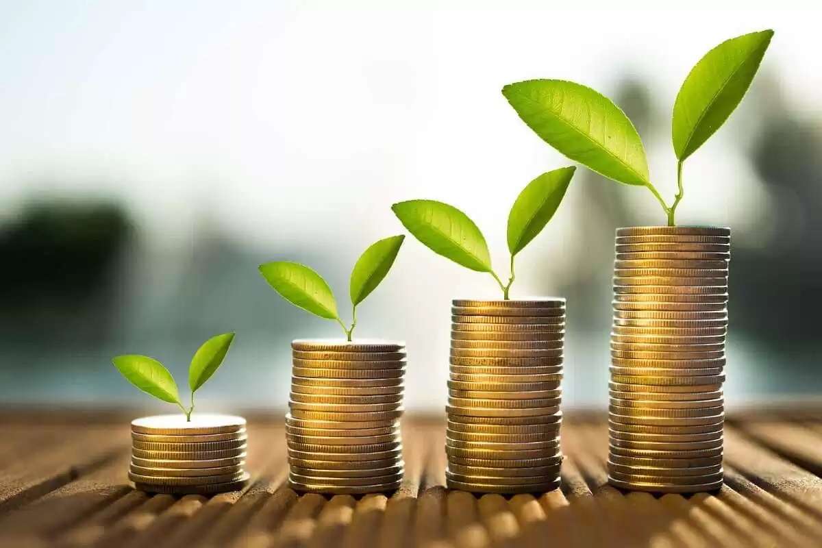 649 de afaceri agricole micro și mici au fost finanțate prin programul FCA - agroexpert.md