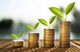 649 de afaceri agricole micro și mici au fost finanțate prin programul FCA - agroexpert.md
