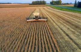 В Бразилии в 2025/26 МГ ожидается рекордный урожай зерна - agroexpert.md