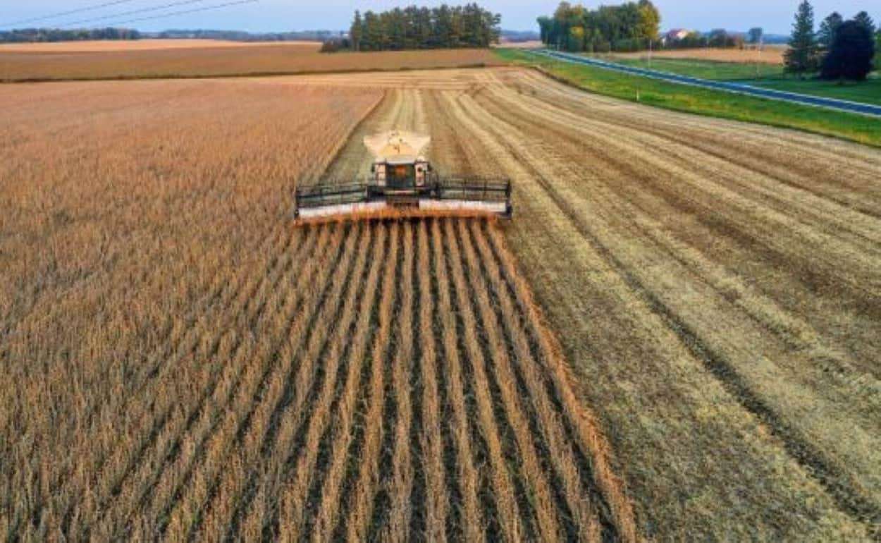 В Бразилии в 2025/26 МГ ожидается рекордный урожай зерна - agroexpert.md