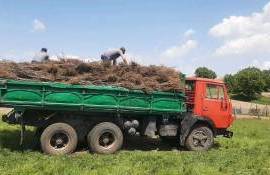 Nereguli grave la Pădurea Domnească: Hajder cere demiterea directorului - agroexpert.md
