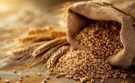 На текущей неделе рынок пшеницы в Украине сохраняет ценовую стабильность - agroexpert.md