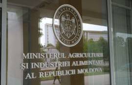 CNA desfășoară percheziții la MAIA - agroexpert.md
