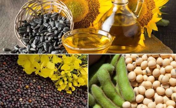 От подсолнечника к рапсу и сое: украинские переработчики меняют стратегию - agroexpert.md