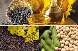 От подсолнечника к рапсу и сое: украинские переработчики меняют стратегию - agroexpert.md