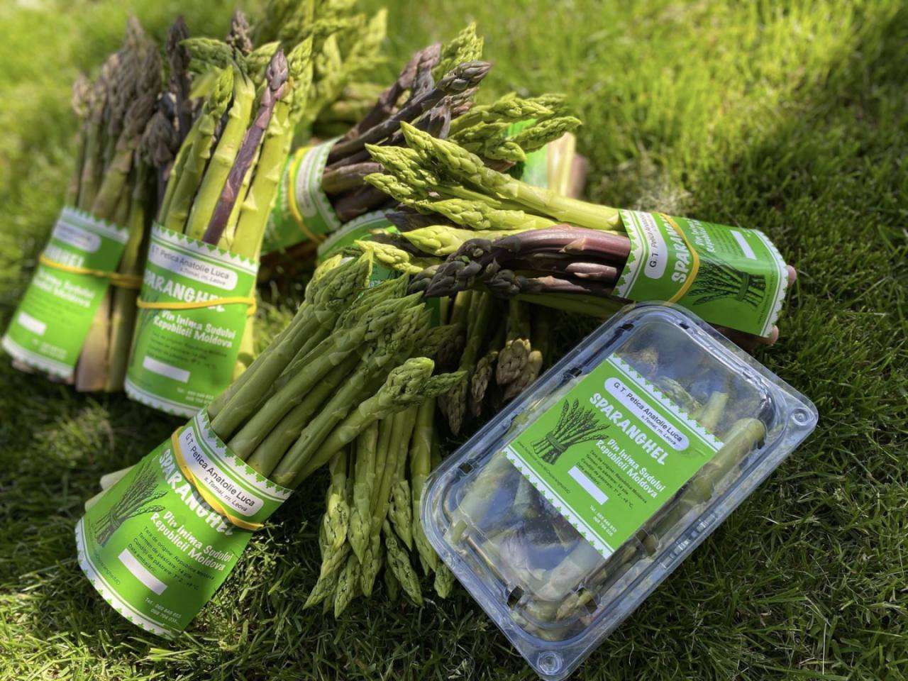 Sparanghel crescut în Moldova - AGROEXPERT.MD