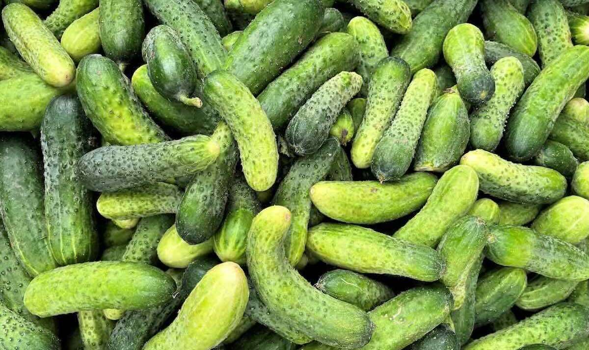 Legumele locale ajung cu greu pe rafturile supermarketurilor - agroexpert.md