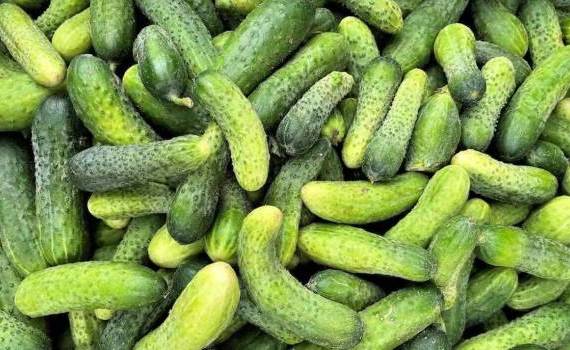 Legumele locale ajung cu greu pe rafturile supermarketurilor - agroexpert.md