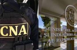 demiterea secretarului de stat vizat de CNA - agroexpert.md
