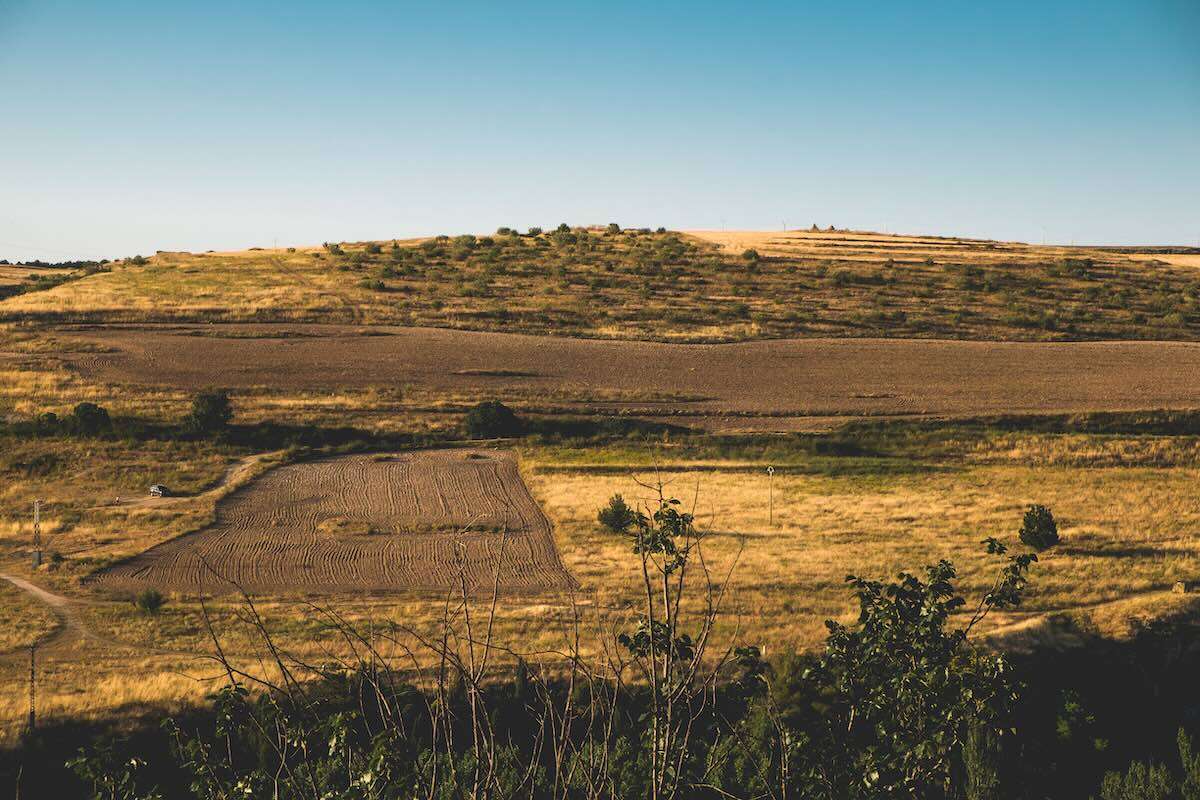 Epocă nouă în agricultură: sol sănătos și culturi rezistente la caniculă - agroexpert.md