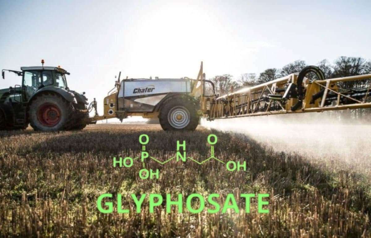 Bayer выделила бизнес по глифосату в США в отдельную компанию - agroexpert.md