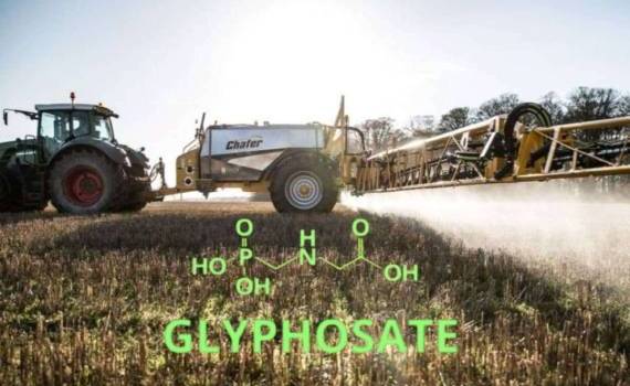 Bayer выделила бизнес по глифосату в США в отдельную компанию - agroexpert.md