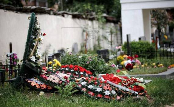 Ministerul Mediului pregătește reglementări pentru coroanele din plastic - agroexpert.md