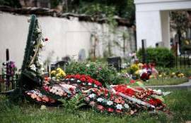 Ministerul Mediului pregătește reglementări pentru coroanele din plastic - agroexpert.md