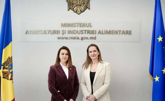 Comerțul agroalimentar ar putea fi simplificat prin digitalizare - agroexpert.md