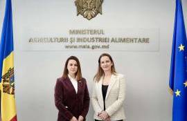 Comerțul agroalimentar ar putea fi simplificat prin digitalizare - agroexpert.md