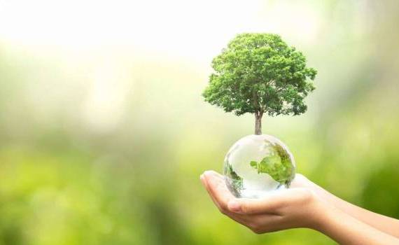 Investițiile în agricultură durabilă au ajuns la 183 mil. lei în 2025 - agroexpert.md