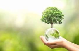 Investițiile în agricultură durabilă au ajuns la 183 mil. lei în 2025 - agroexpert.md