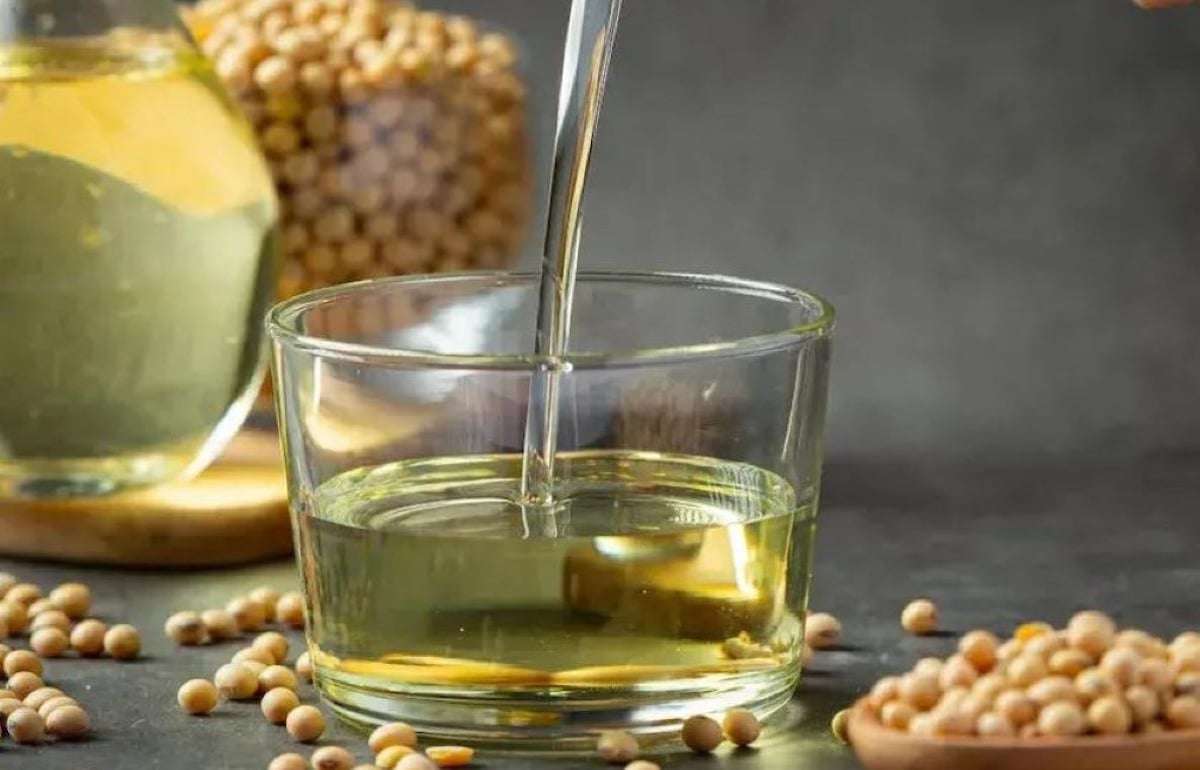 Котировки на соевое масло в Чикаго за неделю выросли на 8,4% - agroexpert.md