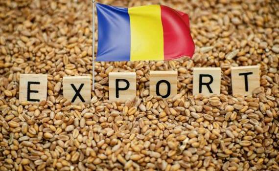 Румыния нарастила экспорт пшеницы на рынки третьих стран - agroexpert.md