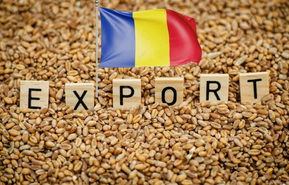 Румыния нарастила экспорт пшеницы на рынки третьих стран - agroexpert.md